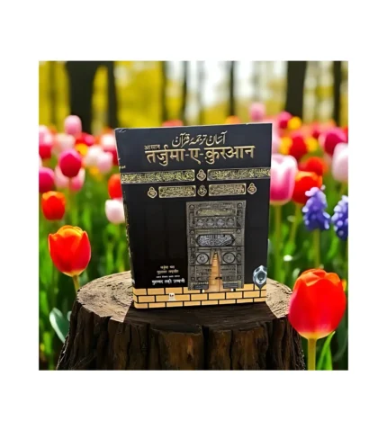 Quran Asaan tarjuma hindi taqi usmani